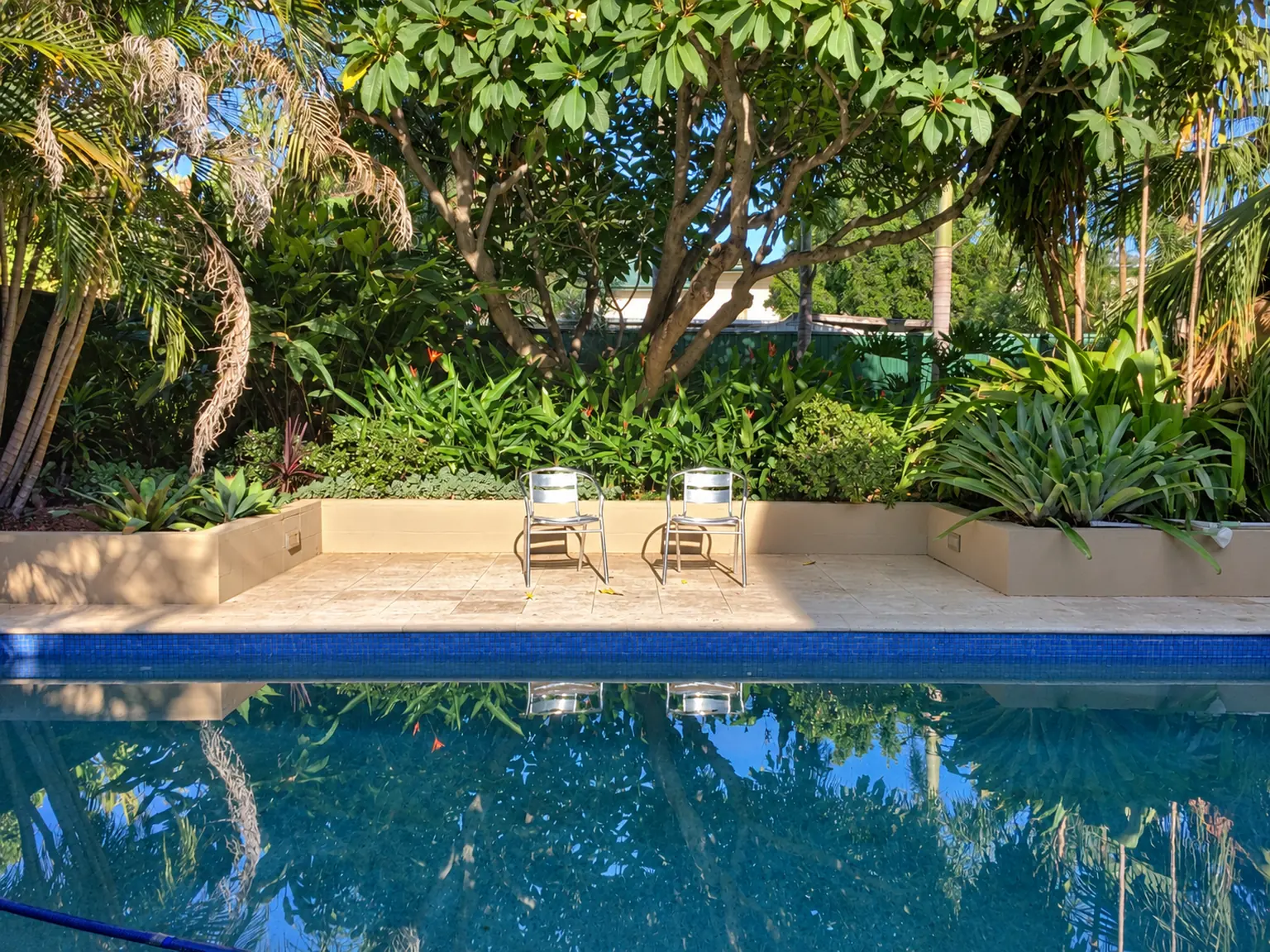 Queensland backyard pool with blue waterline tiles, stone edging and tropical planting